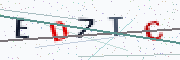 Security code - type the characters shown